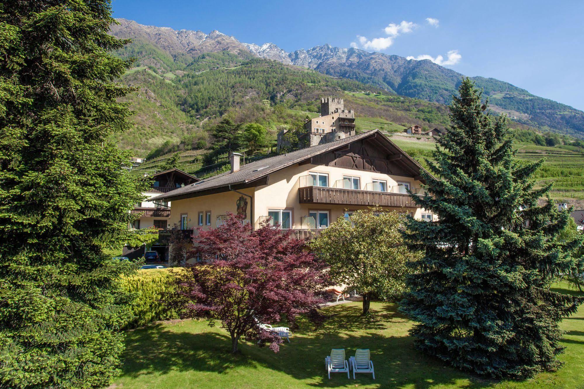 Weingarten 3*